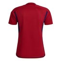 Spain Home Shirt 2022 2023 Adults