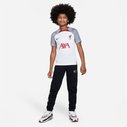 Liverpool Strike Top Juniors