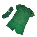 Ireland Home Mini Kit 2020