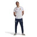 Spain Away Authentic Shirt 2020