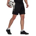 Condivo Training Shorts