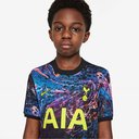 Tottenham Hotspur Away Shirt 2021 2022 Junior